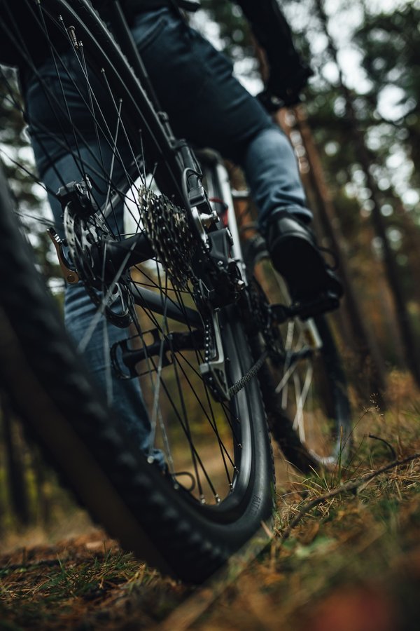 Découvrez les rouages des roues artisanales françaises